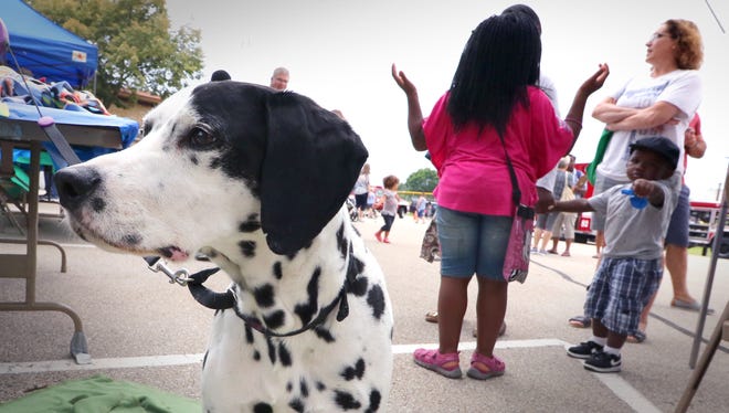 Ben, a retired fire dog, keeps an eye on activity from the Dal-Savers Dalmation Rescue booth during Glendale's National Night Out in the parking area behind Glendale City Hall on Aug. 16.