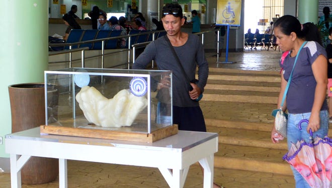 In this photo provided by Puerto Princesa Tourism Office, shows residents look at a giant pearl measuring 1 foot, 2.2 feet-long and weighing 75 pounds on display in the lobby of the Puerto Princesa City Hall in Puerto Princesa city, Palawan province in southwestern Philippines.