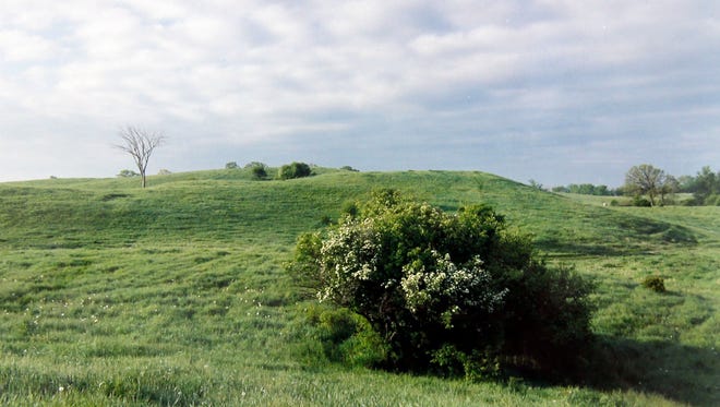 Lillian Williamson, one of the early bidders for the land that would become Erin Hills, took this photo of the property when it was pasture and farmland in the 1990s.