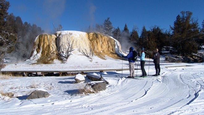 It's not just geysers that are faithful at Yellowstone National Park. Statistically, there's a 100% chance of at least three inches of snow cover on Dec. 25.