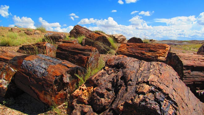 Colors of the Petrified Forest National Park surround adventurers in the park located in Arizona.
